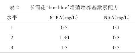 长筒花叶片离体培养研究