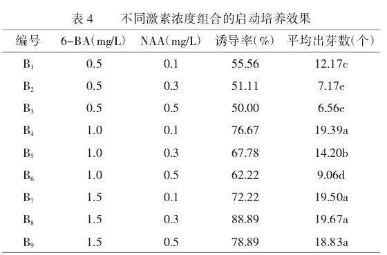 长筒花叶片离体培养研究