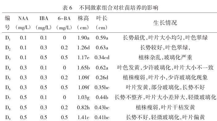 长筒花叶片离体培养研究