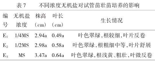 长筒花叶片离体培养研究
