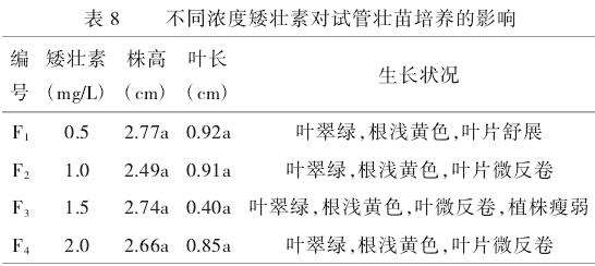 长筒花叶片离体培养研究