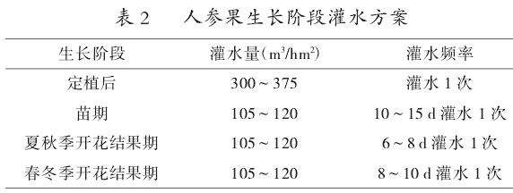 高台县人参果无公害栽培关键技术探究