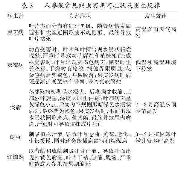 高台县人参果无公害栽培关键技术探究
