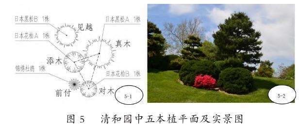 日本传统园林植物配植手法的应用