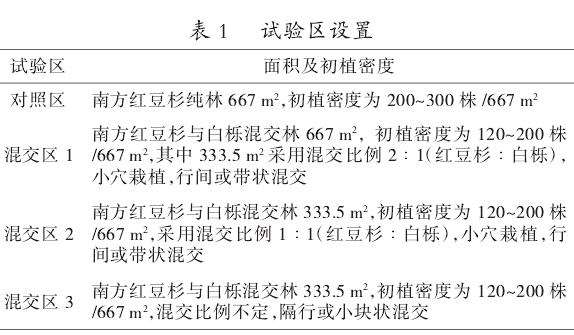 南方红豆杉幼龄期与乡土树种白栎的混交模式研究