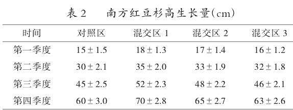 南方红豆杉幼龄期与乡土树种白栎的混交模式研究