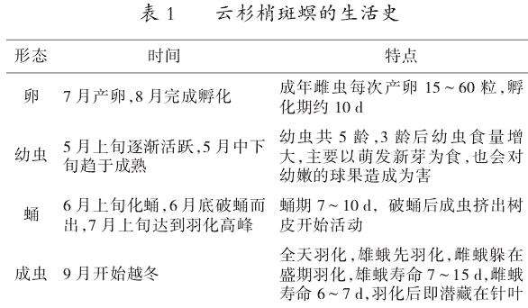 云杉梢斑螟发生的影响因素