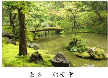 植物与其他要素的搭配