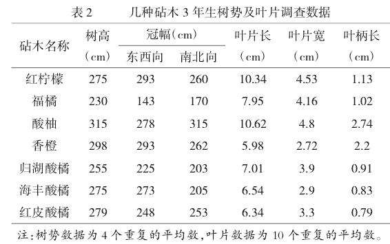 7种柑橘砧木在潮汕地区的生长状况及表现