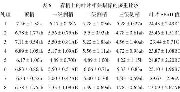 不同外源激素配施对油茶春梢叶片相关指标影响