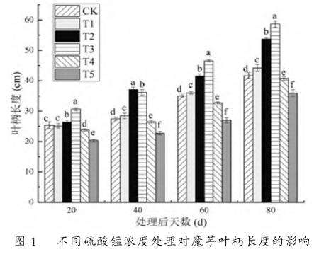叶面喷施硫酸锰对魔芋形态指标的影响