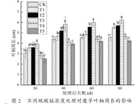 不同硫酸锰浓度处理对魔芋叶柄周长的影响