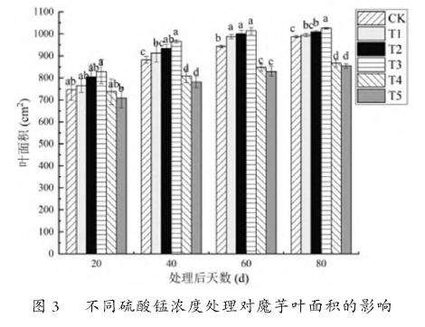 不同硫酸锰浓度处理对魔芋叶面积的影响