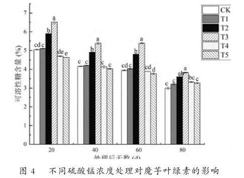 叶面喷施硫酸锰对魔芋叶绿素的影响