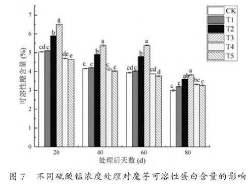 不同硫酸锰浓度处理对魔芋可溶性蛋白含量的影响