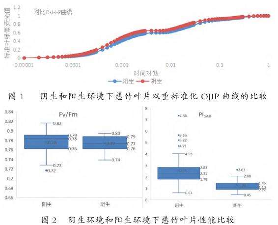 阴生和阳生环境下慈竹叶片叶绿素荧光特性比较
