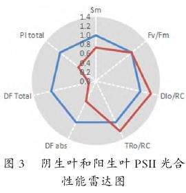 叶片各项叶绿素荧光参数对比