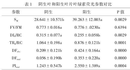 阴生和阳生环境下慈竹叶片叶绿素荧光特性比较