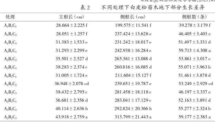 不同处理对白皮松苗木地下部分生长的影响