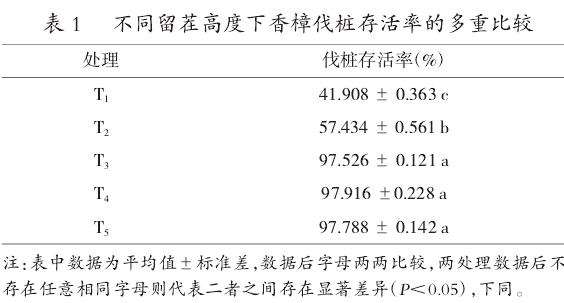 留茬高度对香樟伐桩存活率的影响