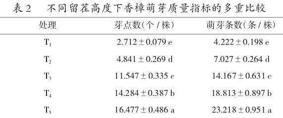 留茬高度对香樟萌芽质量的影响