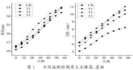 不同施肥时期对株高和茎粗的影响