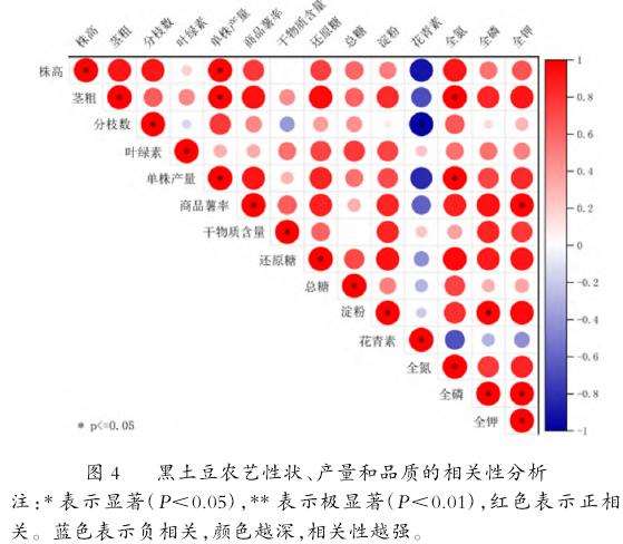 不同施肥时期对黑土豆产量和品质的影响
