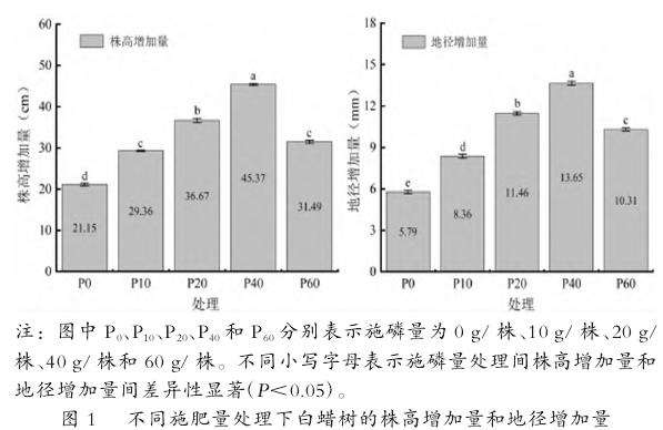 不同施磷量对滨州盐碱地白蜡生长指标的影响