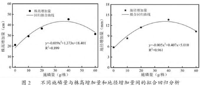 滨州盐碱地白蜡树种植中最佳施磷量的确定