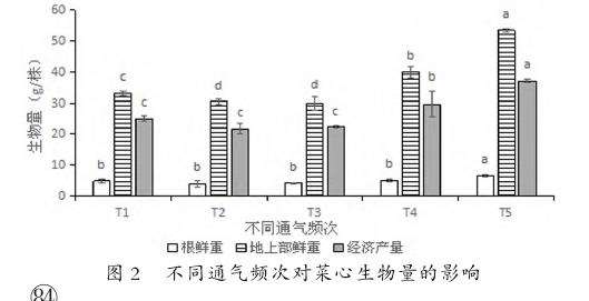 不同通气频次对水培菜心生长及品质的影响
