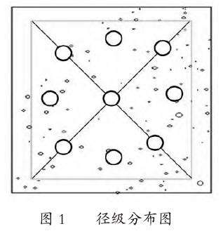 甘肃小陇山锐齿栎林分结构化经营对林分质量的影响