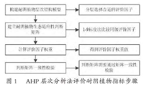 高密度城市环境中耐阴植物的生态适应性评估