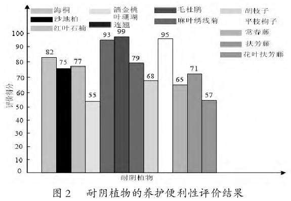 高密度城市环境中耐阴植物的生态适应性评估