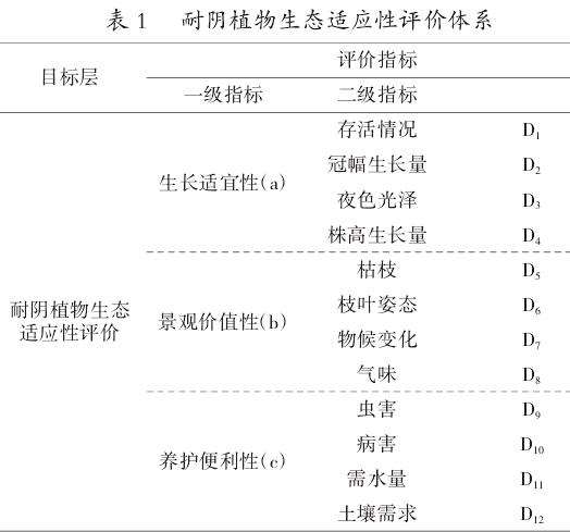 高密度城市环境中耐阴植物的生态适应性评估