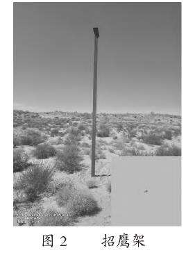 古浪县公益林大沙鼠综合防治技术