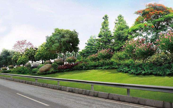 新老城区道路绿化建设不均衡
