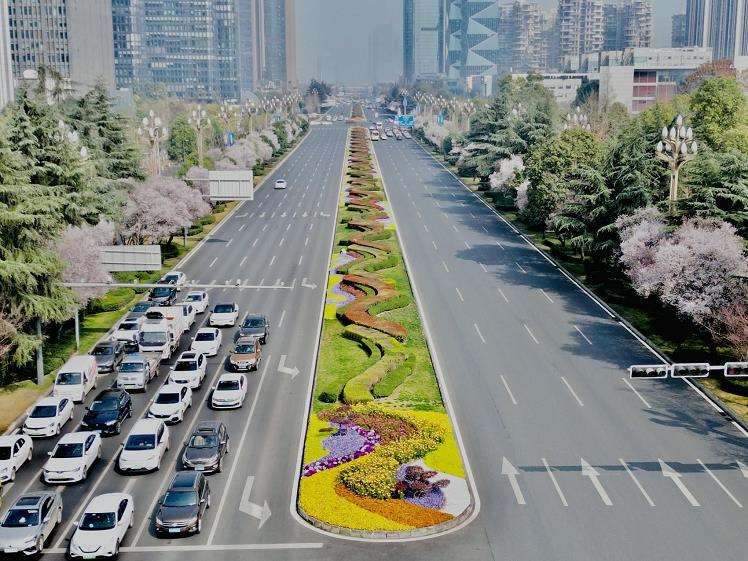 贵阳市城市道路绿化现状