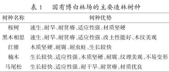 博白林场国家储备林改培技术的优化与实践