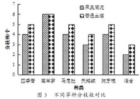 对不同草种绿化植物分枝影响