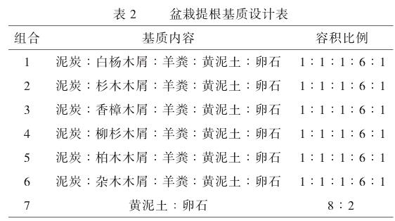 槭树园艺品种提根技术的实践