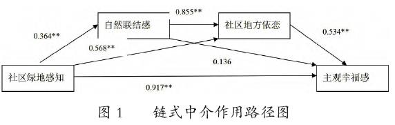 自然联结感与社区地方依恋对中学生幸福感的作用