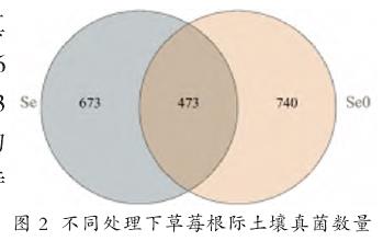 不同处理中草莓根际土壤真菌群落组成