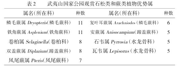 武夷山国家公园观赏石松类和蕨类植物资源