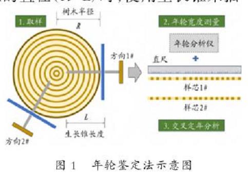 年轮鉴定法检测原理