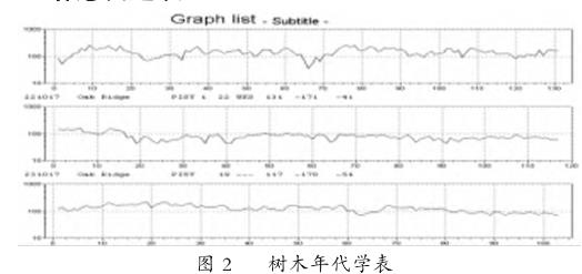 细叶榕年轮鉴定法树龄鉴定研究与应用