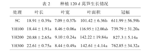 有机肥对莴笋生长及品种的影响