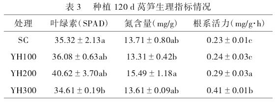不同有机肥种植下莴笋的生理指标