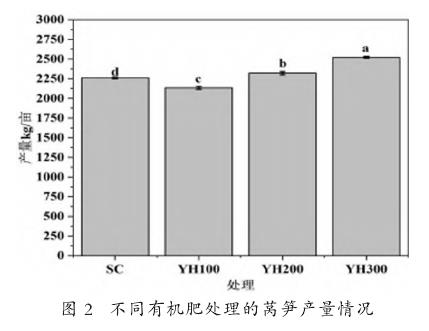 不同有机肥种植下莴笋的产量
