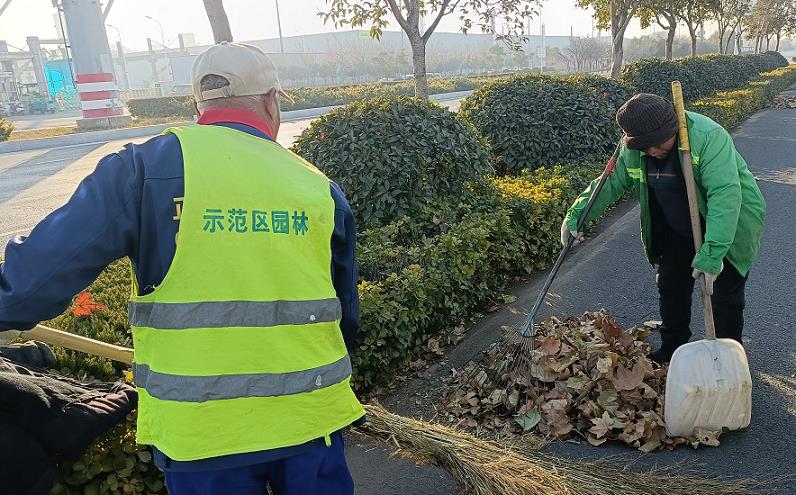 浅谈新泰市节约型园林绿化建设
