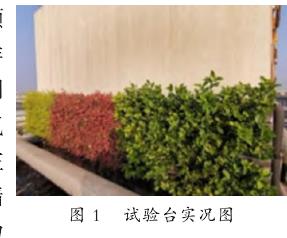 外墙绿植对墙体温度的影响